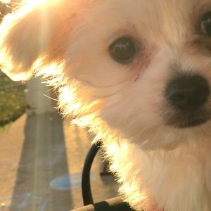 Meet your Posher, Kylie